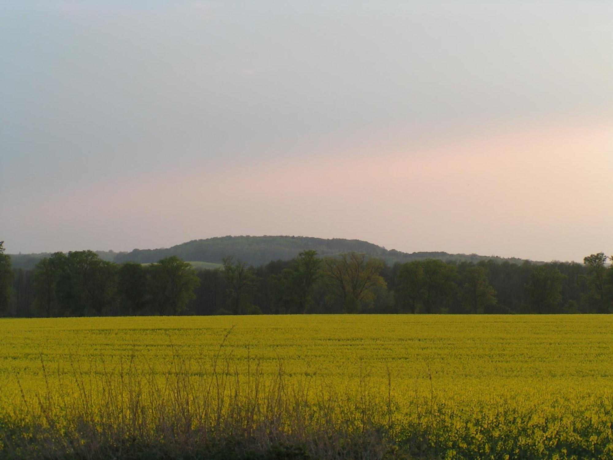 Hof Sorgenlos Gross Gievitz Cameră foto