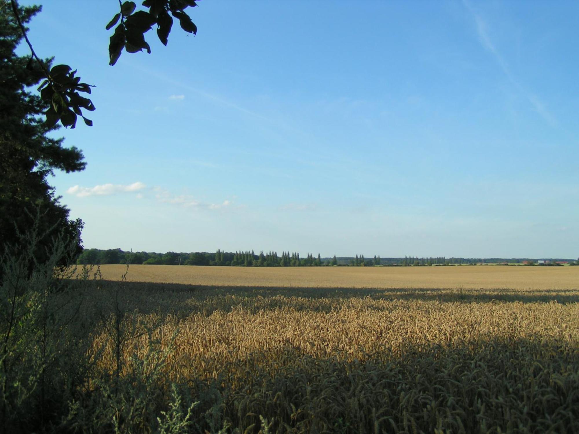 Hof Sorgenlos Gross Gievitz Cameră foto
