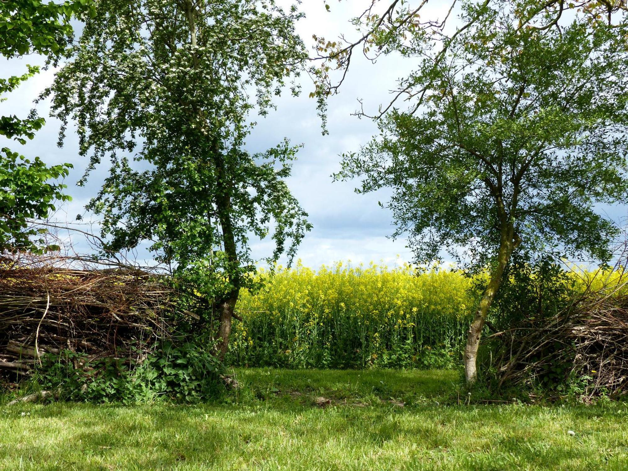 Hof Sorgenlos Gross Gievitz Cameră foto